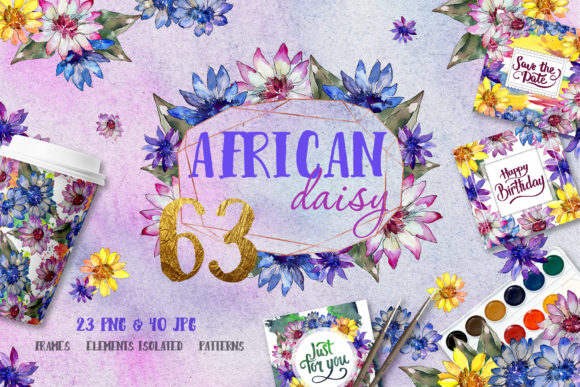 African Daisy Watercolor Illustrations Review