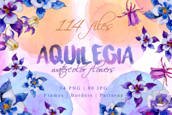 Aquilegia Watercolor Illustrations Review