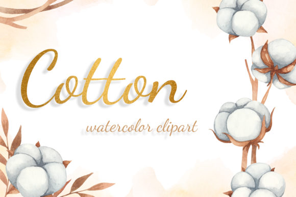 Autumn Cotton Watercolor Clipart & Illustrations