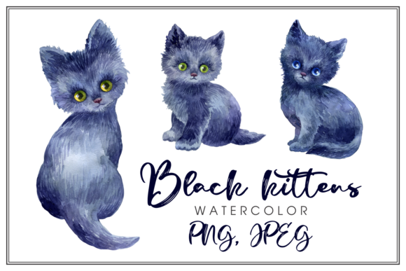 Black Kittens Watercolor Illustrations Review