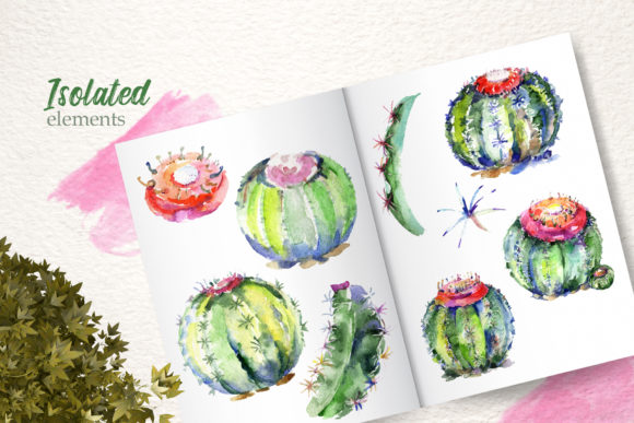 Cacti Watercolor Illustrations Review