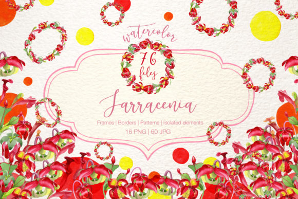 Cool Red Sarracenia Watercolor Set & Illustrations