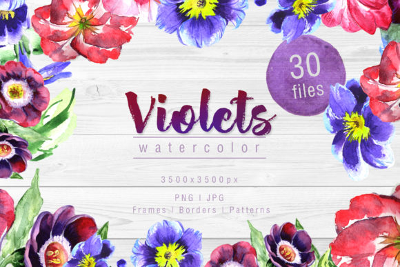 Cool Violets Watercolor Flower Set Illustrations