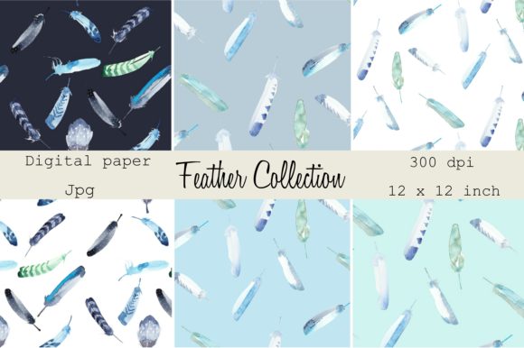 Digital Papers Loose Watercolor Feathers Illustrations