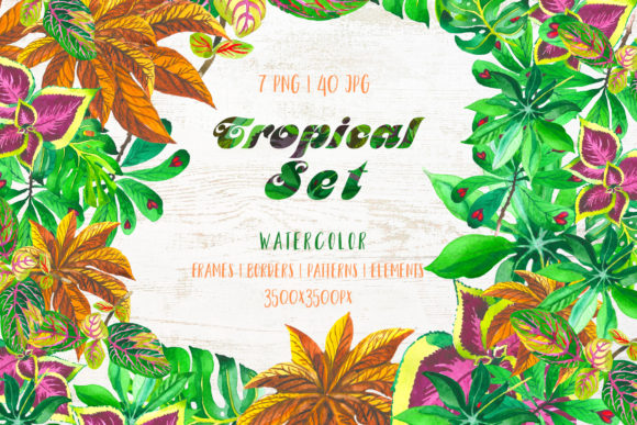 Exotic Tropical Set Watercolor Illustrations