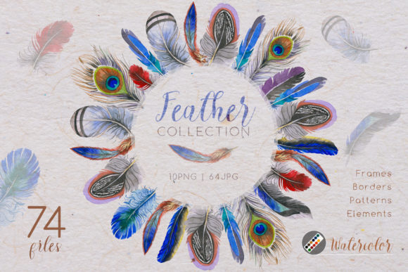 Feather Collection Watercolor Set Illustrations