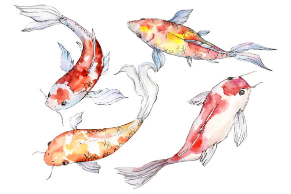 Goldfish-2 Watercolor: A Designer's Real-World Review