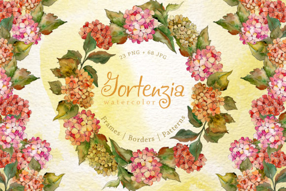 Gortenzia Watercolor Flower Set & Illustrations
