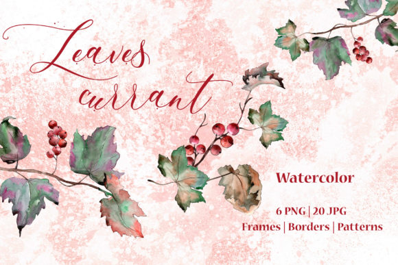 Leaves Currant Watercolor Set Illustrations