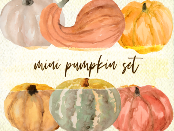 Mini Pumpkin Set PNG Watercolor Clipart Review