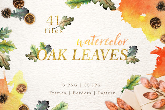 Oak Leaves Watercolor Illustrations Review