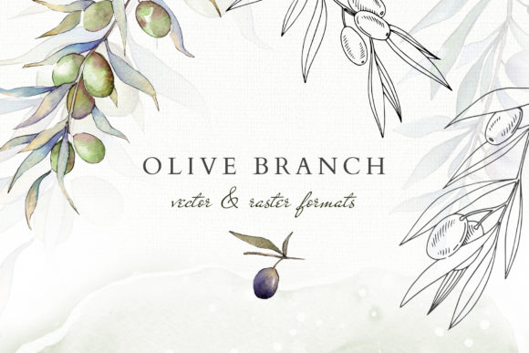 Olive Branches Collection Watercolor Illustrations