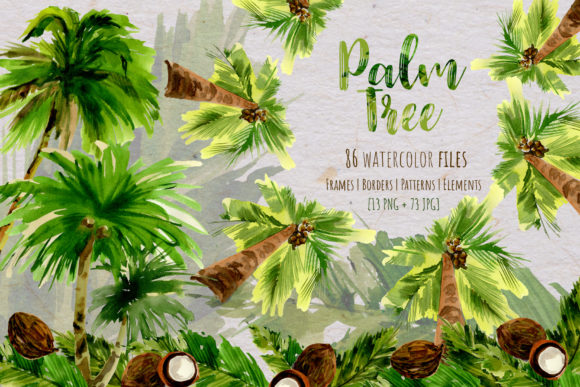 Palm Tree Watercolor Set Illustrations Review