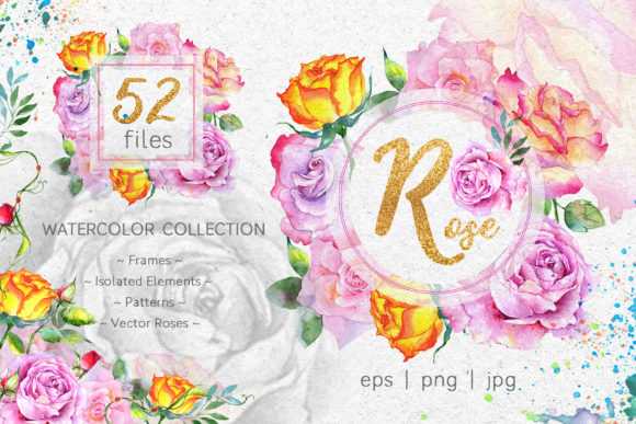 Pink Roses Collection Watercolor Illustrations