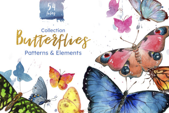 Reviewing Miracle of Nature Butterflies Watercolor