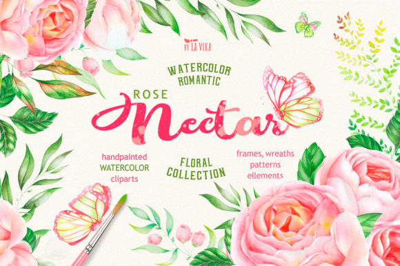 Rose Nectar Watercolor Floral Illustrations