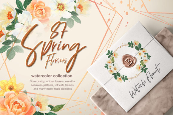 Spring Sunshine Watercolor Set Illustrations Review