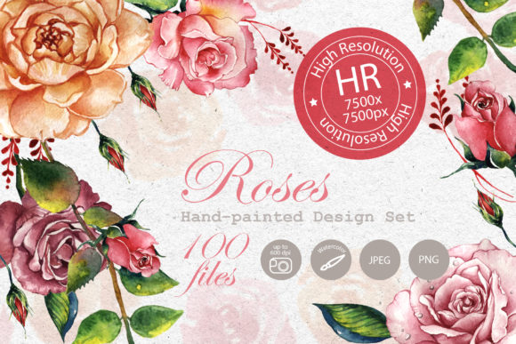 Stunning Roses Watercolor Set: Illustrations Review