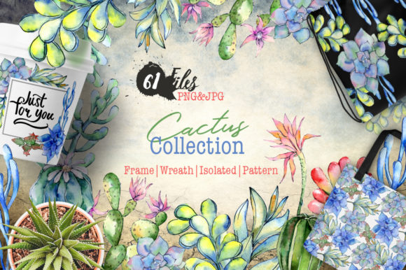 Succulents Cactus Watercolor Illustrations