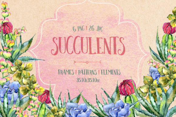 Succulents Watercolor Set Illustrations Review