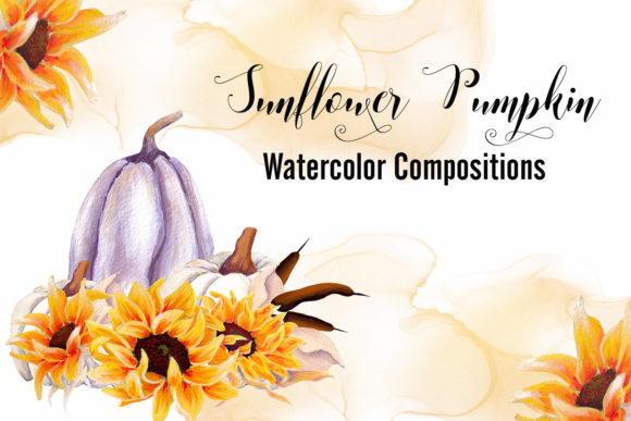 Sunflower Pumpkin Watercolor Illustrations