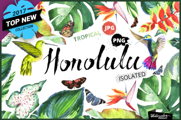 Tropical Clipart Watercolor & Illustrations