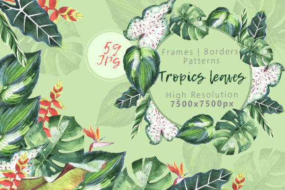 Tropics Leaves Watercolor Set & Illustrations