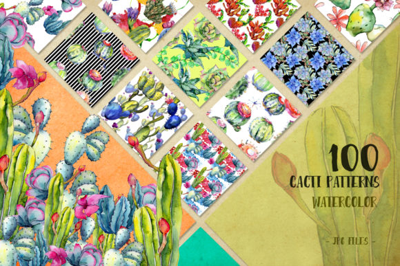 Watercolor 100 Cacti Patterns Set Review