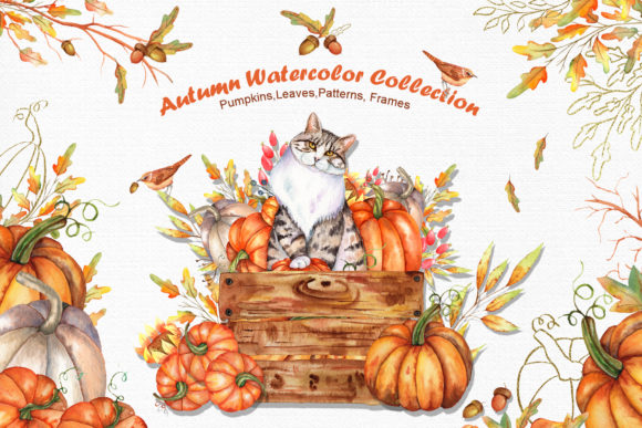 Watercolor Autumn Cat Collection Illustrations