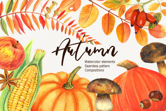 Watercolor Autumn Clipart: A Designer's Review