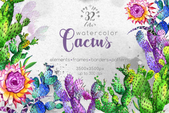 Watercolor Cactuses Wildflower Set Illustrations