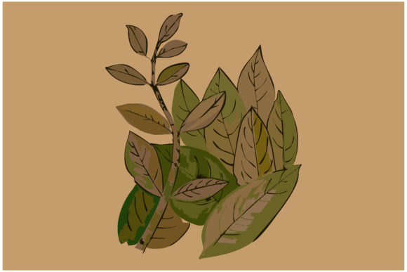 Watercolor Hand Drawn Branches Review