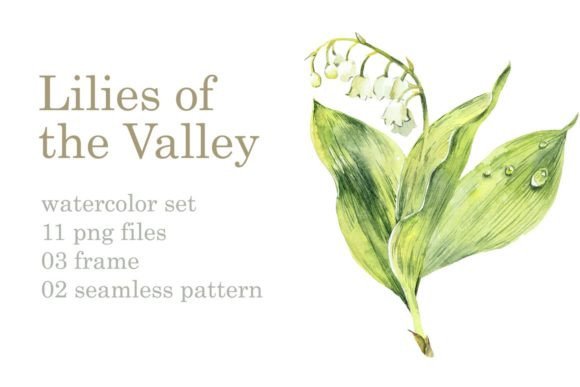 Watercolor Lilies of the Valley Illustrations