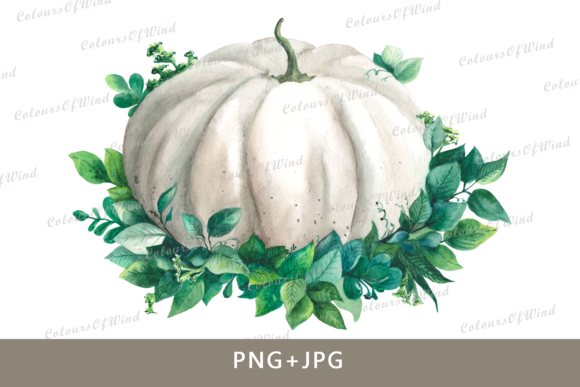 Watercolor Pumpkin Clipart & Illustrations