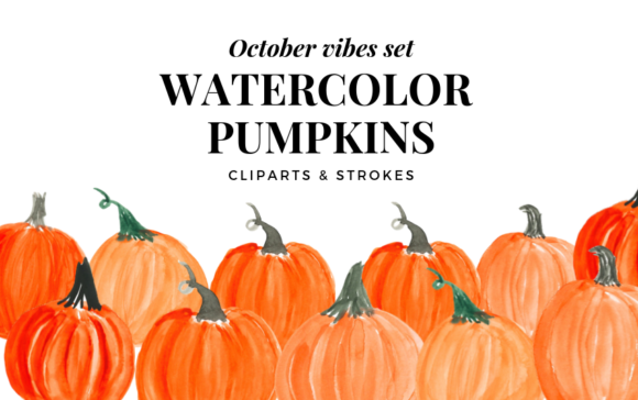 Watercolor Pumpkin Clipart & Illustrations Review