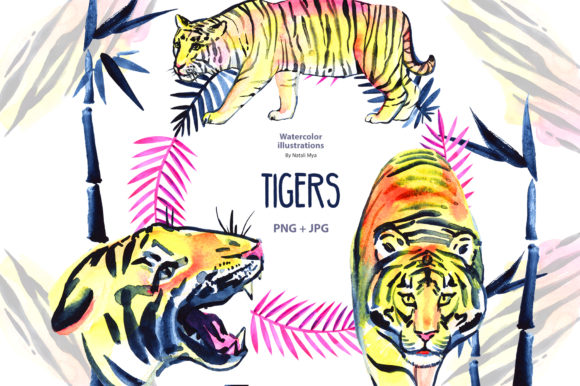 Watercolor Tigers and Bamboo Illustrations
