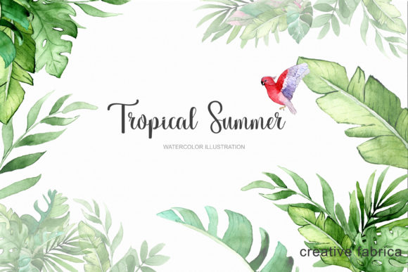 Watercolor Tropical Summer Clipart & Illustrations