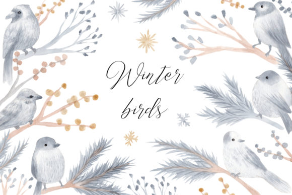 Watercolor Winter Birds Cliparts & Illustrations